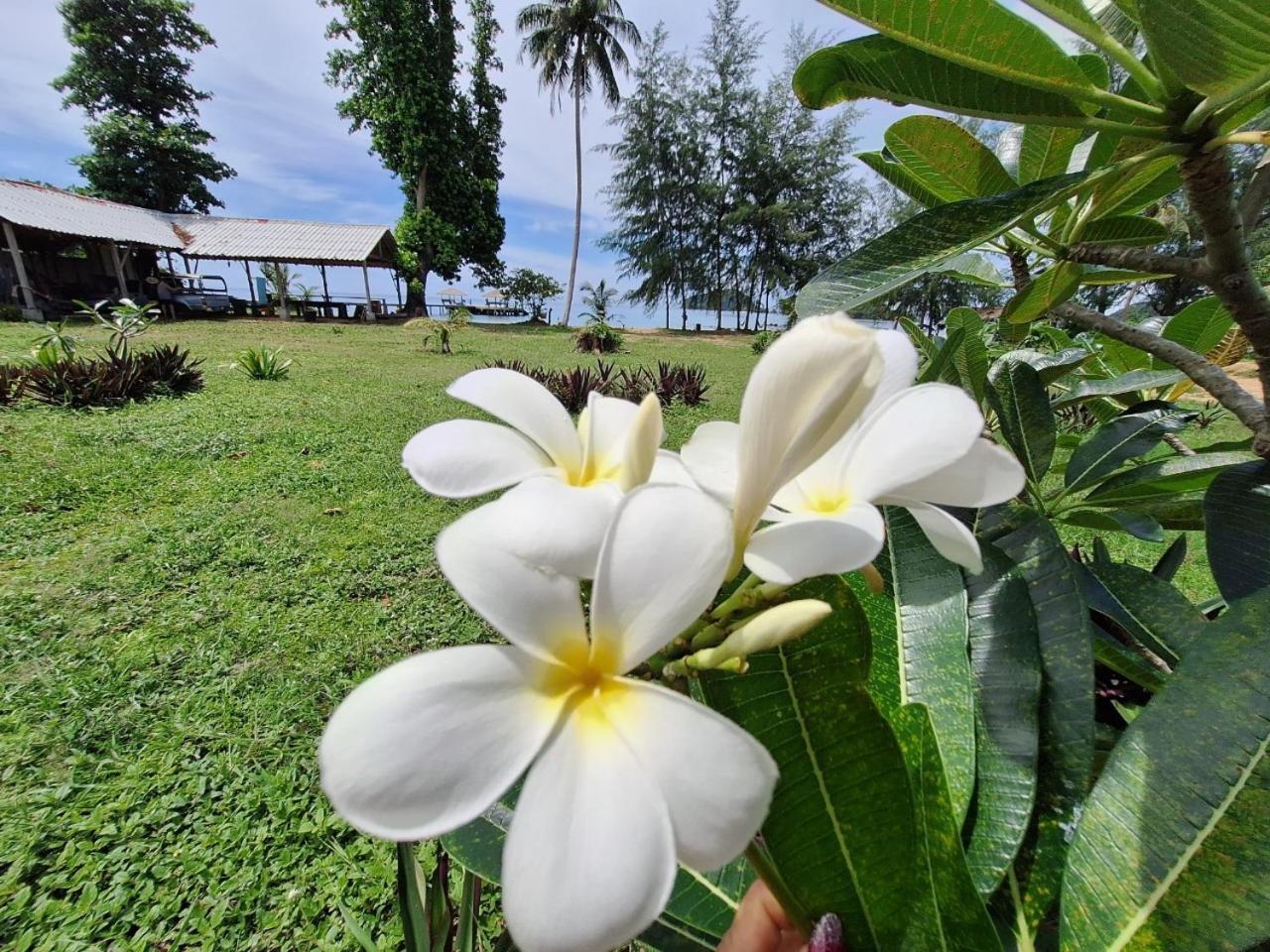 Miss You Beach Resort Koh Mak Exterior photo